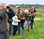 Pauk&scaron;čių palydos Žuvinto rezervate