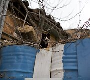 Jungtinių tautų numatyta buferinė zona tarp Kipro ir Turkijos valdomų salos pusių