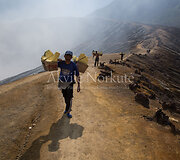 Akvilė Norkutė 2013 m. Indonezija