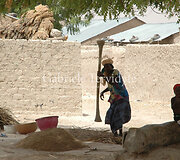 Gabrielė Tervidytė 2015 m. Nigerija. Teisės