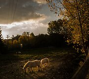 Rudens vakaras Ispanijoje