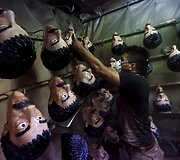 Meksike ruo&scaron;iamasi Helovino &scaron;ventei