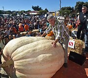 Moliūgo nugalėtojo svoris &ndash; 893 kilogramai