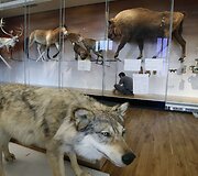 Paryžiuje ruo&scaron;iamasi atidaryti &bdquo;Žmonijos muziejų&ldquo;