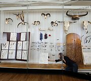 Paryžiuje ruo&scaron;iamasi atidaryti &bdquo;Žmonijos muziejų&ldquo;