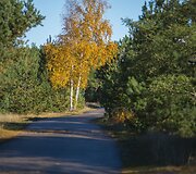 Saulėtas savaitgalis Nidoje