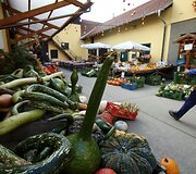 Ūkininkų mugė Austrijoje