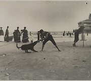 1885 metai