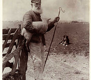 1890 metai