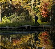 Rudens spalvomis dažosi Europos gamta