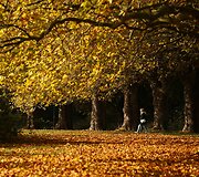 Rudens spalvomis dažosi Europos gamta