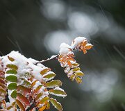 Rudens spalvomis dažosi Europos gamta