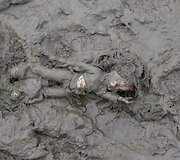 Migrantų pamesta lėlė purve Kroatijoje