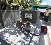 Ant mirusiųjų kapų gyvenantys filipiniečiai