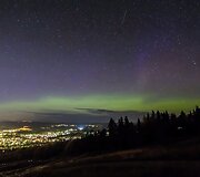 &Scaron;iaurės pa&scaron;vaistė ir pauk&scaron;čių takas
