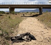 Sausra Pietų Afrikos Respublikoje