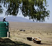 Sausra Pietų Afrikos Respublikoje