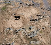 Sausra Pietų Afrikos Respublikoje