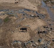 Sausra Pietų Afrikos Respublikoje
