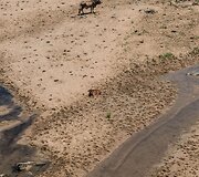 Sausra Pietų Afrikos Respublikoje