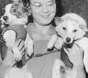 Belka ir Strelka