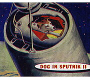 Laika