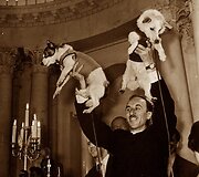 Belka ir Strelka