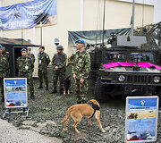 NATO pratybos &bdquo;Tri&scaron;akė jungtis&ldquo;