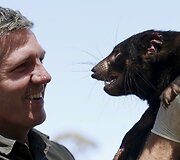 Sveiki Tasmanijos velniai paleidžiami į laisvę, kad padėtų atkurti nykstančią populiaciją.
