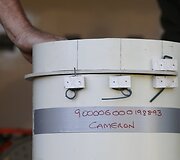 Sveiki Tasmanijos velniai paleidžiami į laisvę, kad padėtų atkurti nykstančią populiaciją.