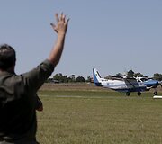 Sveiki Tasmanijos velniai paleidžiami į laisvę, kad padėtų atkurti nykstančią populiaciją.