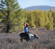 Mongolijos klajokliai &scaron;iaurės elnių augintojai