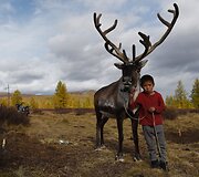 Mongolijos klajokliai &scaron;iaurės elnių augintojai