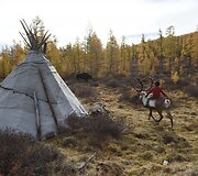Mongolijos klajokliai &scaron;iaurės elnių augintojai