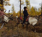 Mongolijos klajokliai &scaron;iaurės elnių augintojai