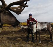 Mongolijos klajokliai &scaron;iaurės elnių augintojai