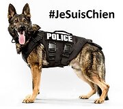 #Jesuisunchien &ndash; internete gedima per teroristų &scaron;turmą žuvusios Diesel