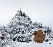 Snieguotos Tiandzino kalnų vir&scaron;ūnės