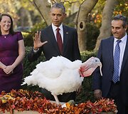 Padėkos dienos i&scaron;vakarėse JAV prezidentas Obama suteikė malonę kalakutams