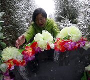 Zhang Yinxiu lanko sūnaus kapą