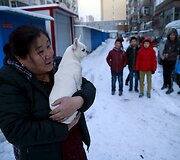 Sun Huanping vaik&scaron;tinėja su savo augintiniu