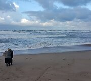 Pajūris vėjuotą lapkričio dieną
