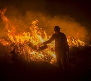 Birželio 14 diena. Mi&scaron;ko gaisrai JAV