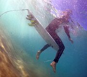 Rugpjūčio 18 diena. Australijoje pristatytas elektroninis prietaisas banglentėms, atbaidantis ryklius
