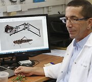Skėrį primenantis robotas
