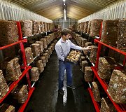Nebenaudojami &Scaron;veicarijos bunkeriai paversti muziejais, restoranais ir sandėliais