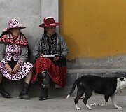 Ritualinės kovos Peru
