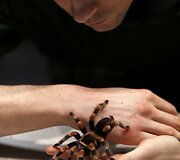 Kasmetinis gyvūnų sura&scaron;ymas Londono zoologijos sode