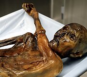 Italijos mokslininkai atlieka tyrimus su Oetzi, 5300 metų senumo mumija