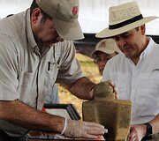 Hondūre atliekami archeologiniai tyrinėjimai legendomis apipintame Baltajame mieste